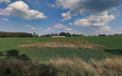 Prodej 1434 m2 zahrady v k.ú. Řepeč