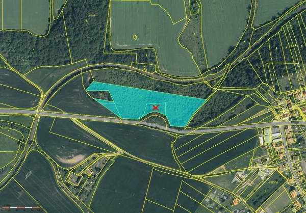 Prodej 2,05 ha půdy v k.ú. Příčina