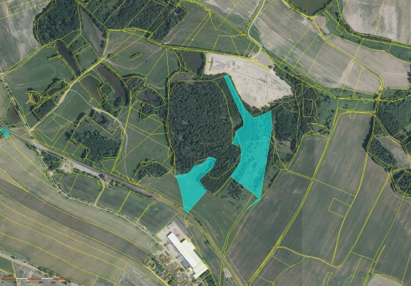 Prodej 5,49 ha v k.ú. Děbolín