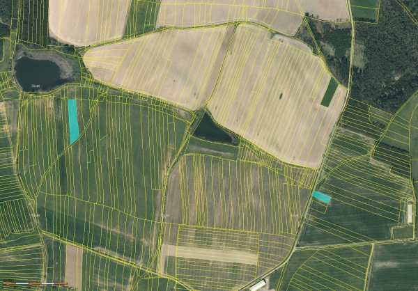 Prodej 1,72 ha půdy v k.ú. Řepeč
