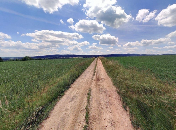 Prodej 3,37 ha půdy v k.ú. Albrechtice nad Vltavou