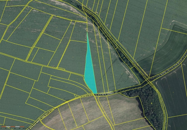 Prodej 0,61 ha zahrady v k.ú. Pravonín