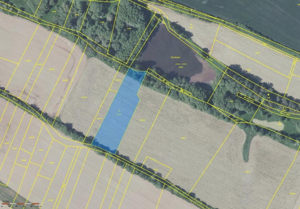 Prodej 3603 m2 zahrady v k.ú. Vlašim
