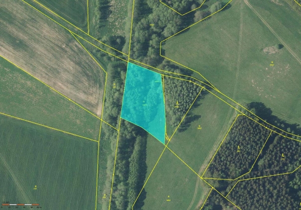 Prodej 0,452 ha půdy v k.ú. Benešov u Broumova