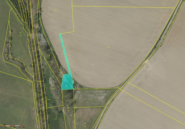 Prodej 1067 m2 půdy v k.ú. Cizkrajov