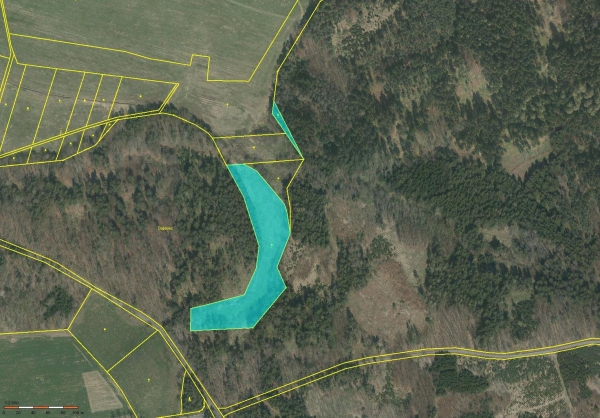 Prodej 1,17 ha louky v k.ú. Nová Ves u Čížové
