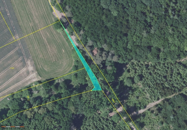 Prodej 327 m2 v k.ú. Nová Ves u Postupic