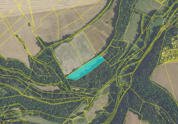 Prodej 1,7 ha zemědělské půdy v k.ú. Velká Lečice