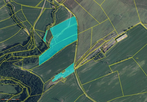 Prodej 6,9 ha zemědělských pozemků v k.ú. Malá Lečice