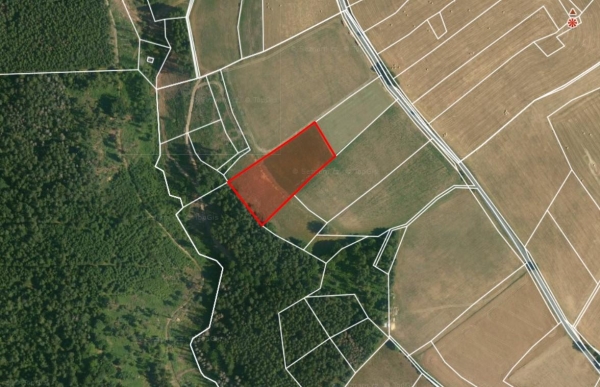 Prodej 7107 m2 orné půdy v k.ú. Čeřenice u Sázavy