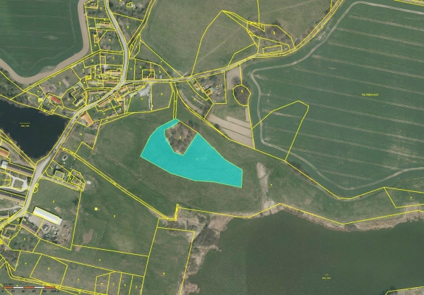 Prodej 12401 m2 v k.ú. Čekanice