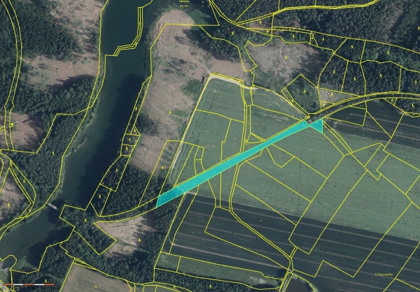 Prodej 0,47 ha orné půdy v k.ú. Němčice u Dolních Kralovic