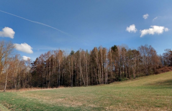 Prodej 2,29 ha pozemků v k.ú. Hošťka