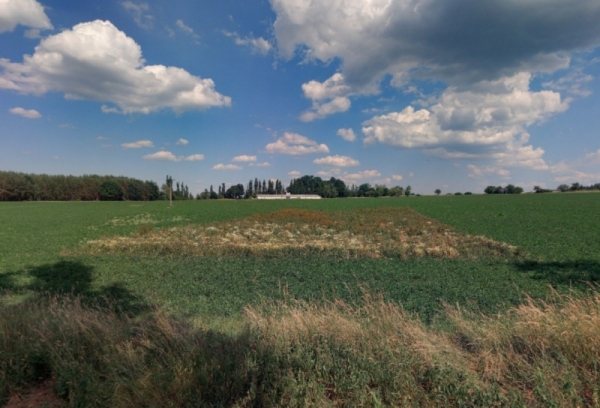 Prodej 1434 m2 zahrady v k.ú. Řepeč
