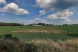 Prodej 1434 m2 zahrady v k.ú. Řepeč